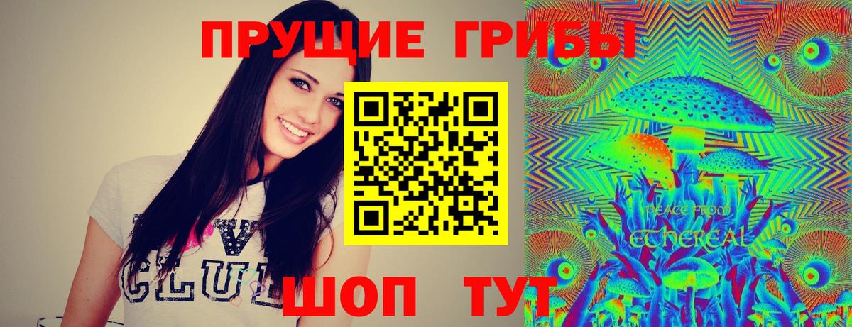Галлюциногенные грибы Psilocybe  Галлюциногенные грибы GOLDEN TEACHER  Котельники  Вход с VPN 